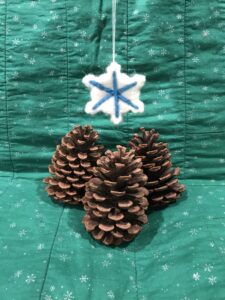 Felted ornament and pinecomes 